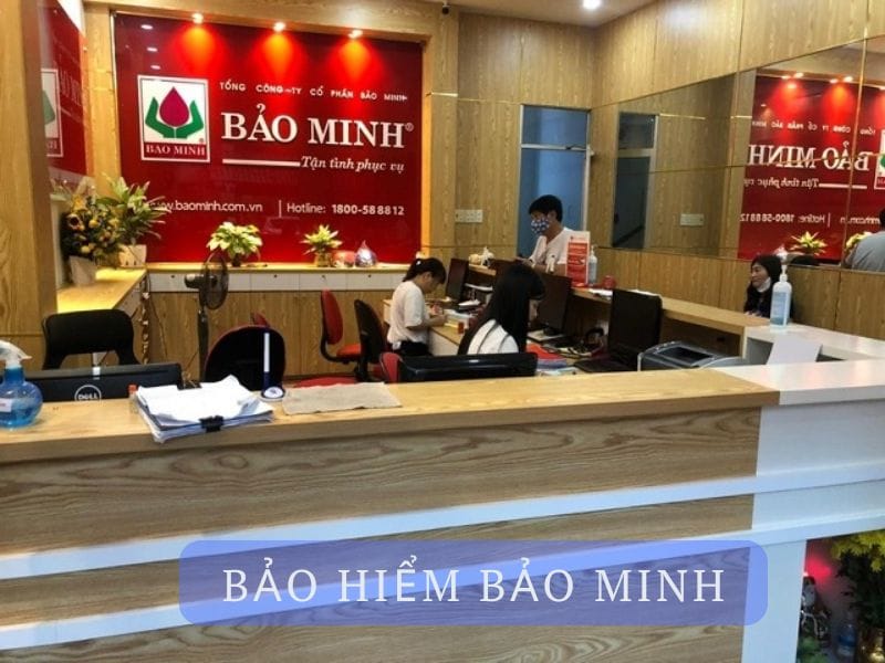 Vài nét về công ty Bảo Minh