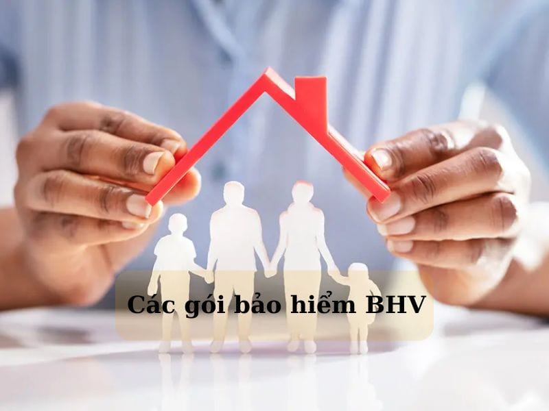 Các gói bảo hiểm cá nhân và doanh nghiệp của Bảo hiểm Hùng Vương